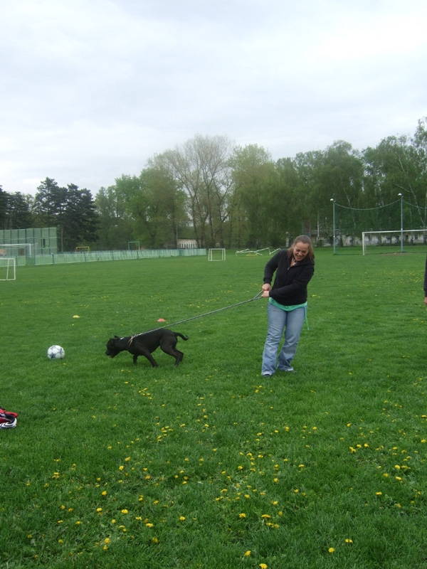 DSCF6844.jpg