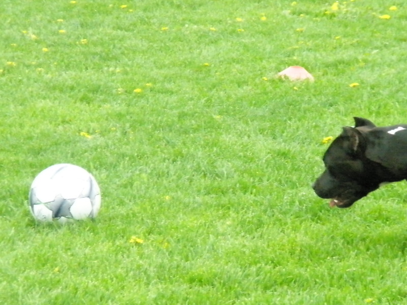 Zimak-02052010_135615-31.jpg